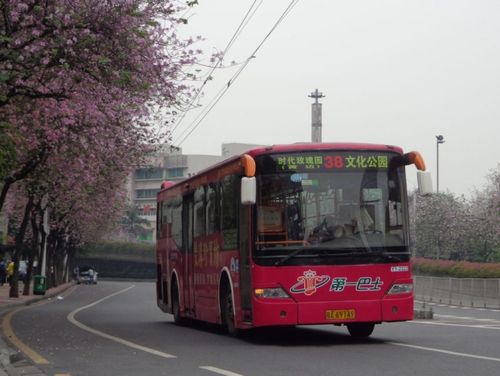 花都至龙岗汽车票查询