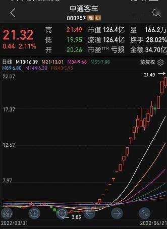 如何应对公司股价暴跌及员工起诉？