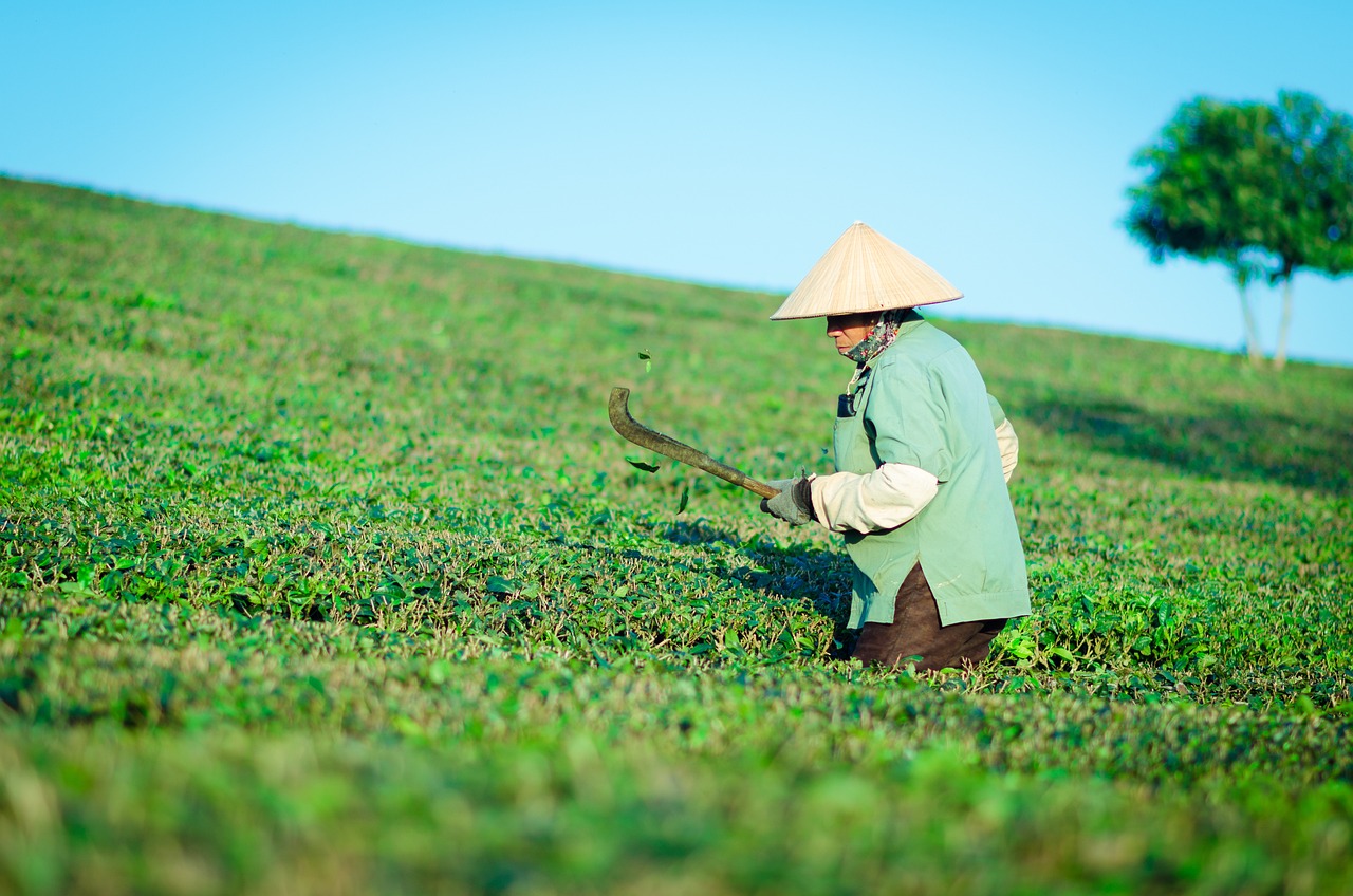 妻子首次独自开车直接撞翻带路丈夫，一场意外背后的成长与反思