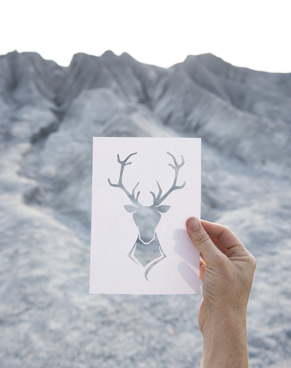 The Vital Role of Life Experiences in Personal Growth