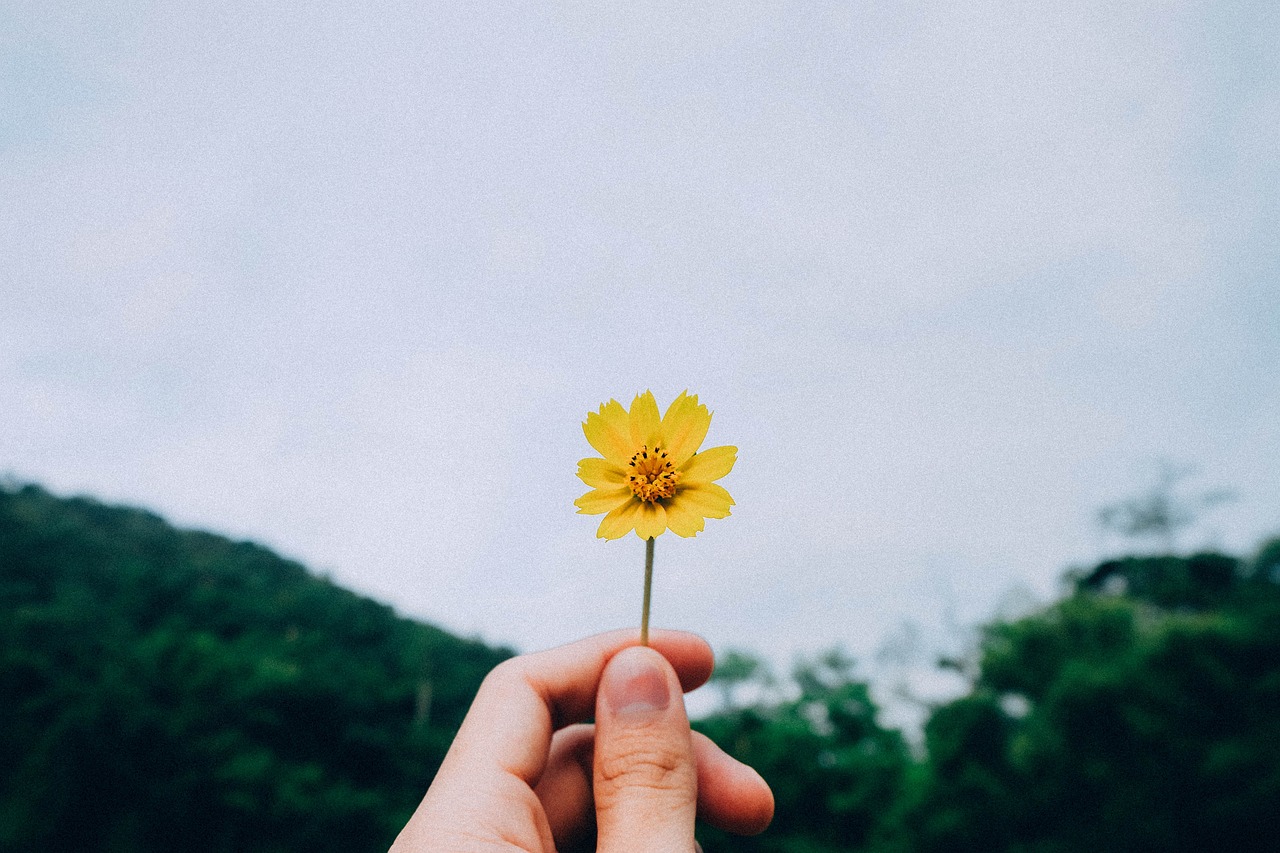 生活智慧的笔触，教你如何撰写生活经验句子